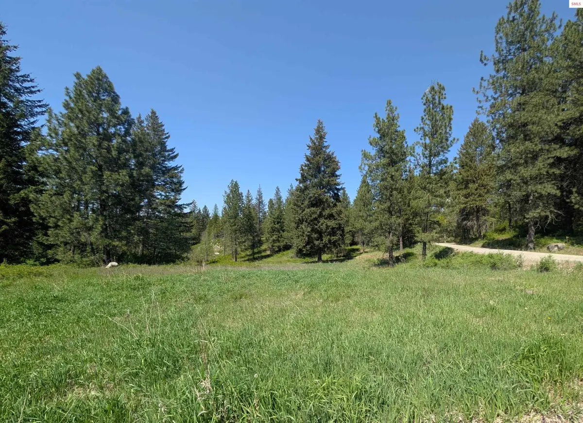 83 Catan Lane, Bonners Ferry, ID 83805 - #1