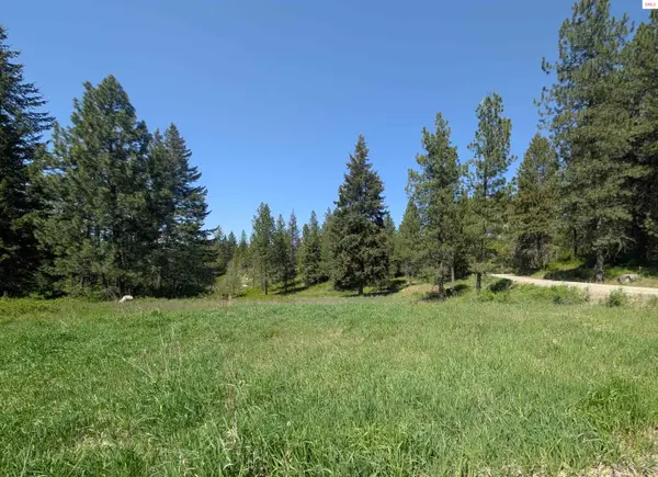 83 Catan Lane, Bonners Ferry, ID 83805