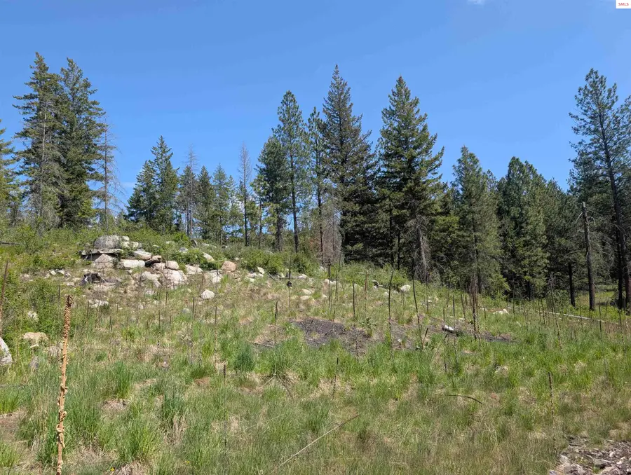 83 Catan Lane, Bonners Ferry, ID 83805 - #2