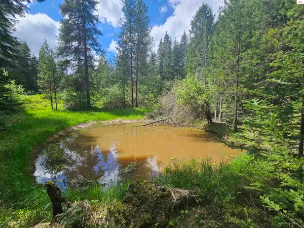 NKA Little Carpenter Creek Rd, Fernwood, ID 83830