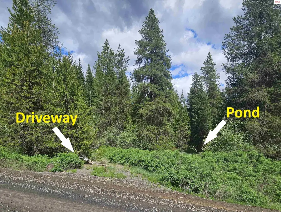 NKA Little Carpenter Creek Rd, Fernwood, ID 83830 - #2