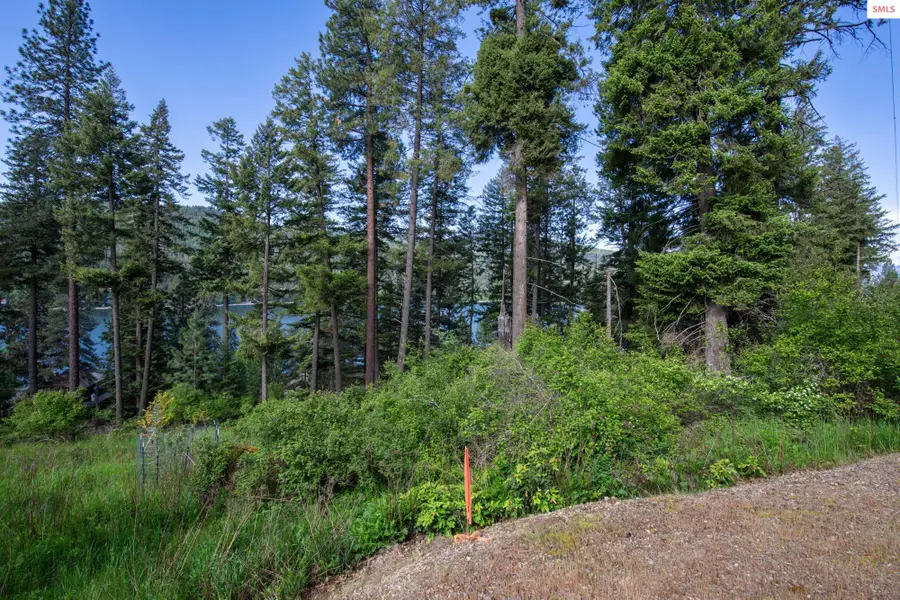 156 Beltane Cove, Sagle, ID 83860 - #3