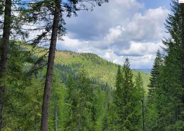 NNA Pup Paw Trail - South Parcel, Priest River, ID 83856