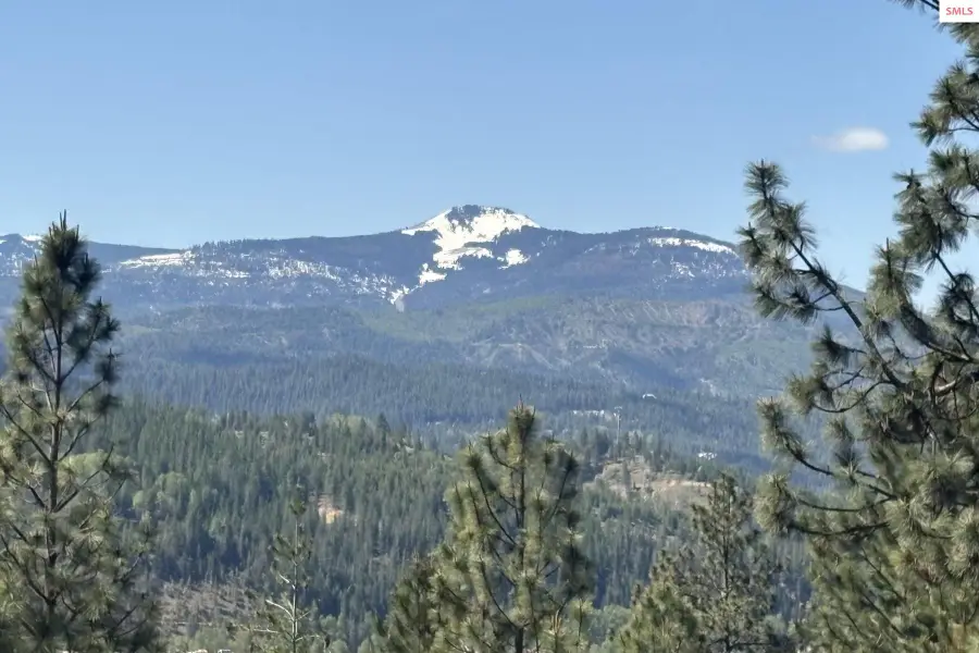 1985 (20A) South Fork Ridge Rd, Smelterville, ID 83868 - #2