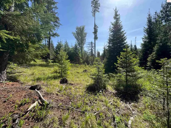 NNA Tanglewood Dr, Priest River, ID 83856