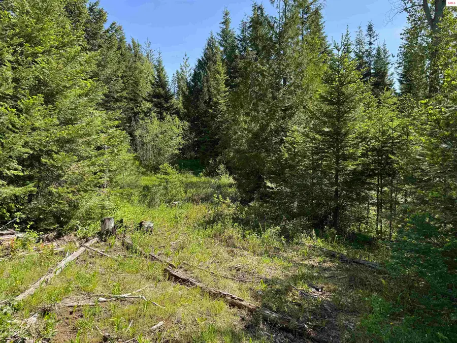 NNA Tanglewood Dr, Priest River, ID 83856 - #2