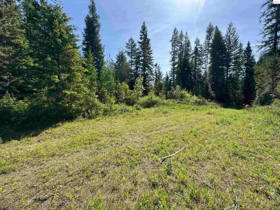 NNA Tanglewood Dr, Priest River, ID 83856 - #3