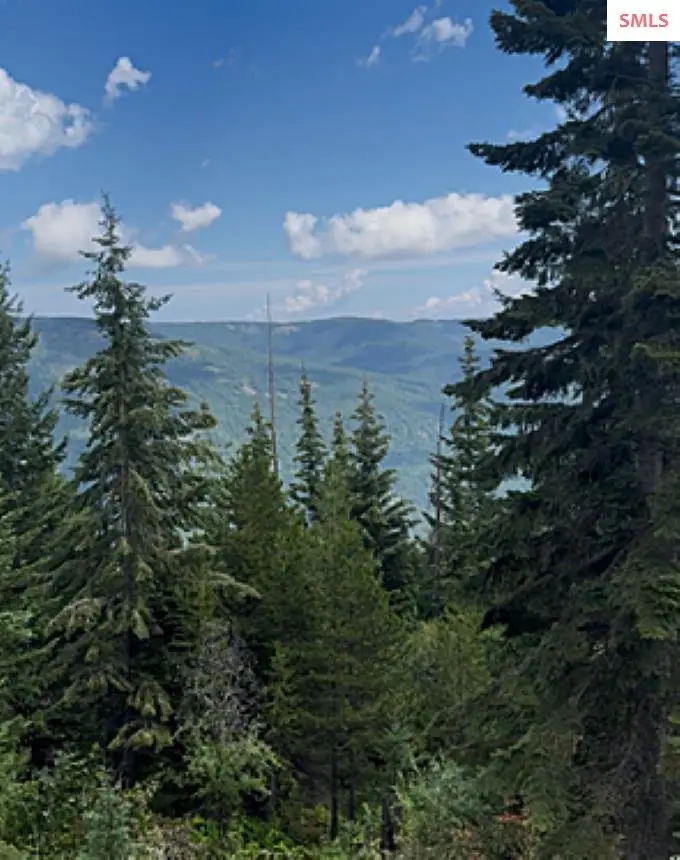 160acs Jeru Creek Rd 293, Sandpoint, ID 83864 - #3