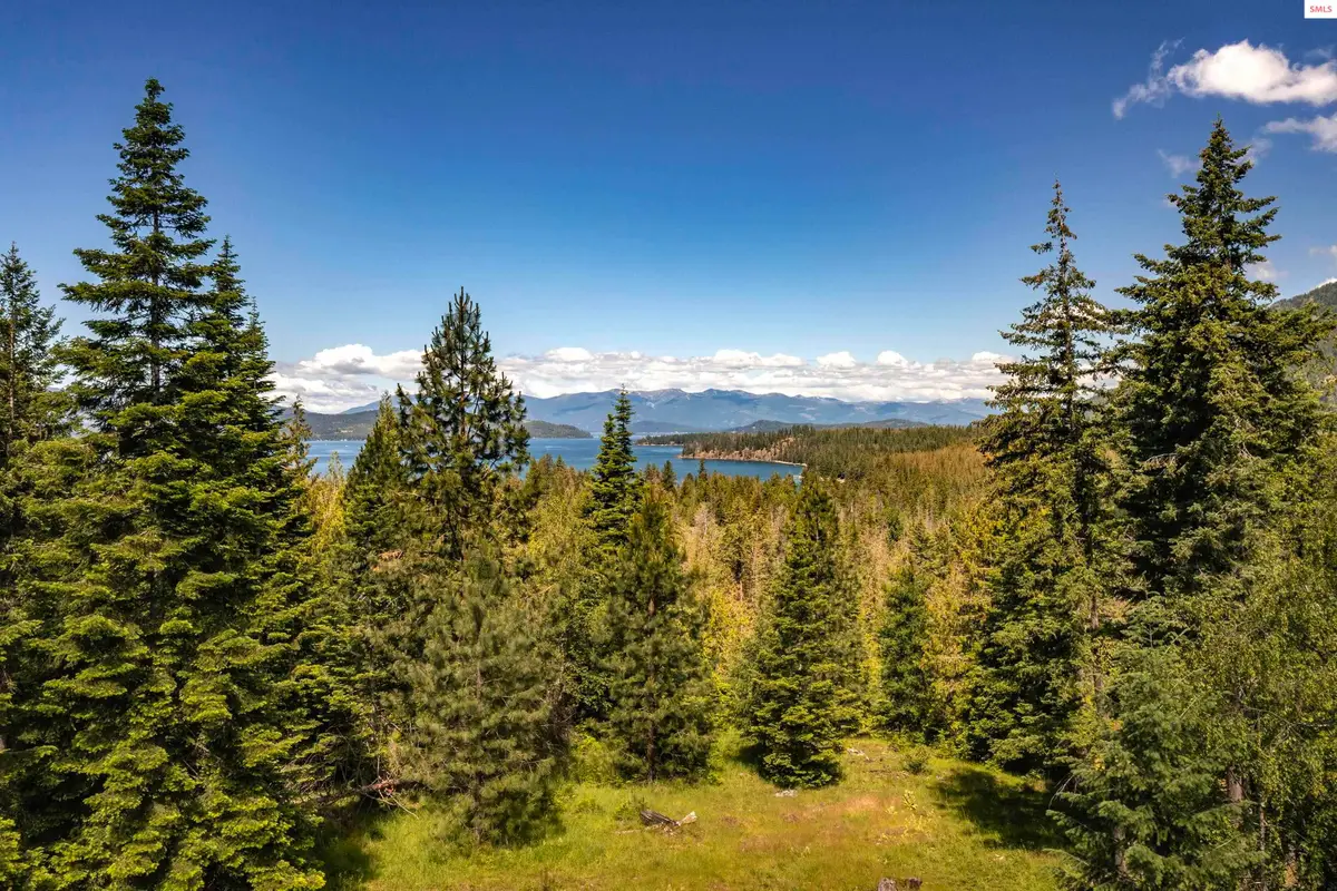 166 Demers Dr, Hope, ID 83836 - #1