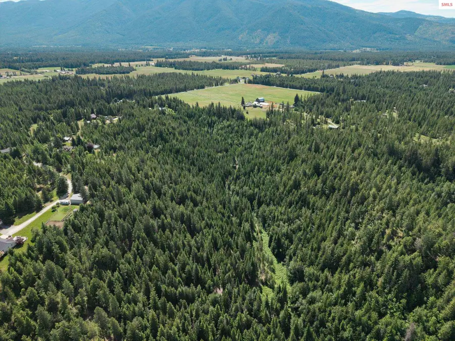 NNA Treetop Bluff, Bonners Ferry, ID 83805 - #3