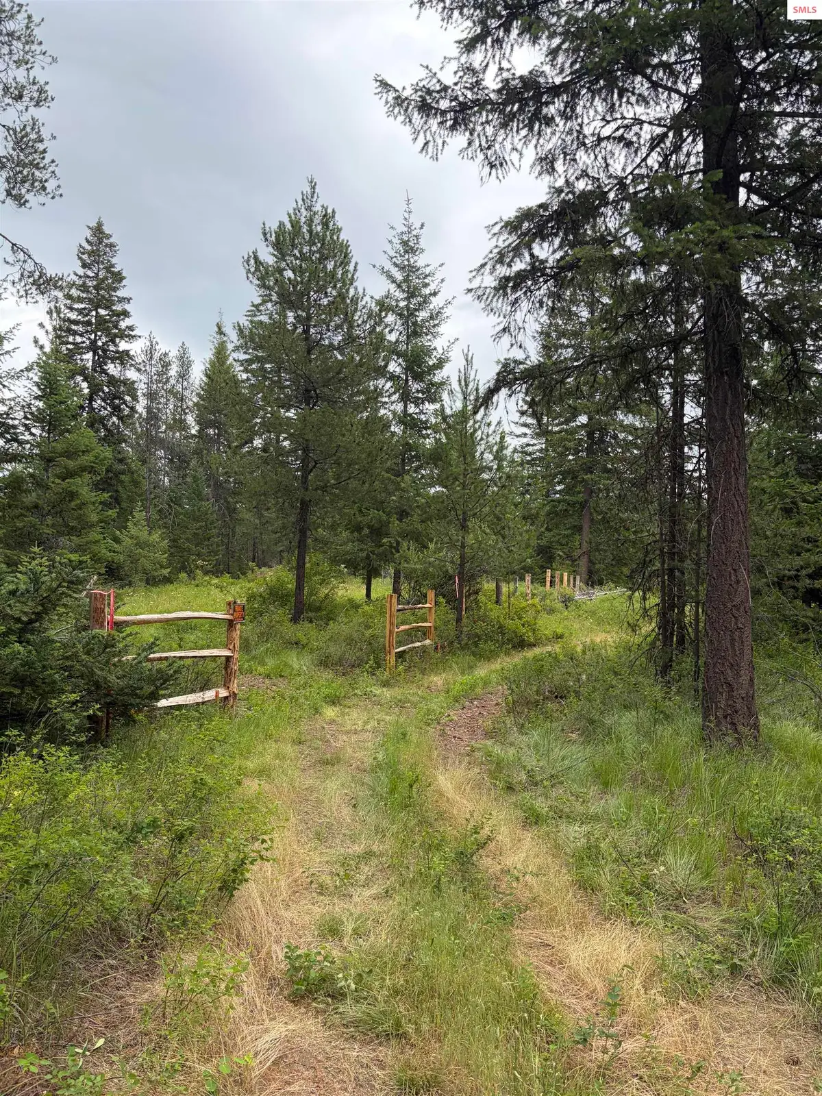 NNA Adams, Spirit Lake, ID 83869 - #1