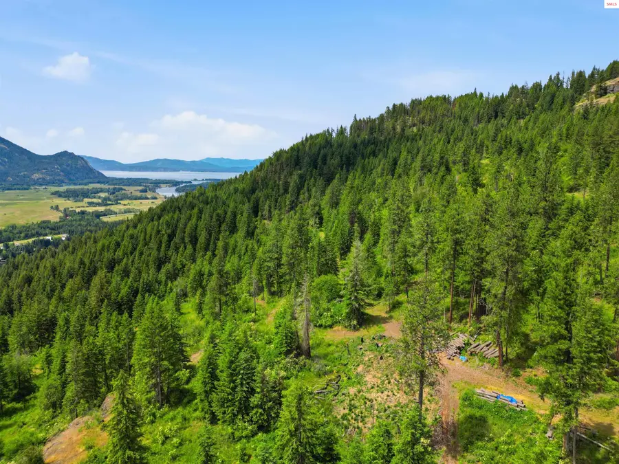 1010 Mcquade Gulch Rd, Clark Fork, ID 83811 - #3