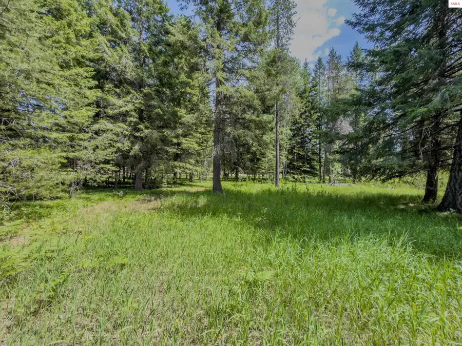 321 Winterton, Sandpoint, ID 83864 - #2