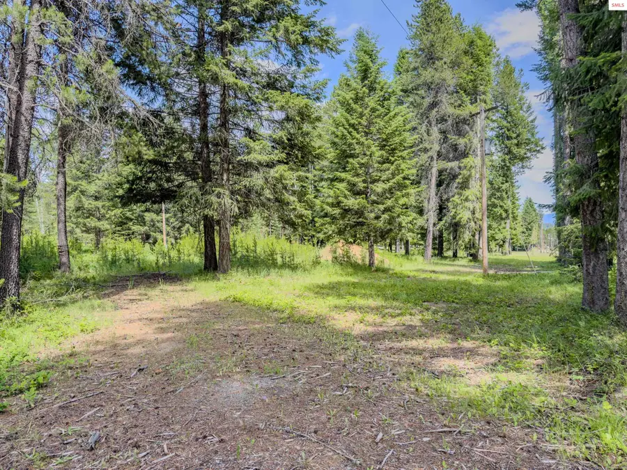 321 Winterton, Sandpoint, ID 83864 - #3
