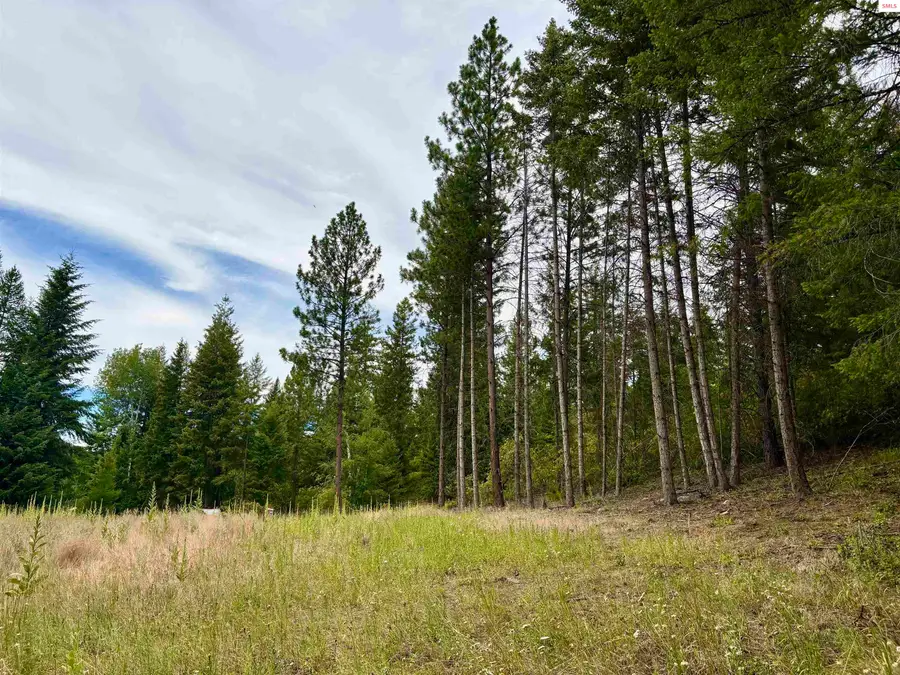 170 Wood Duck Lane, Bonners Ferry, ID 83805 - #3