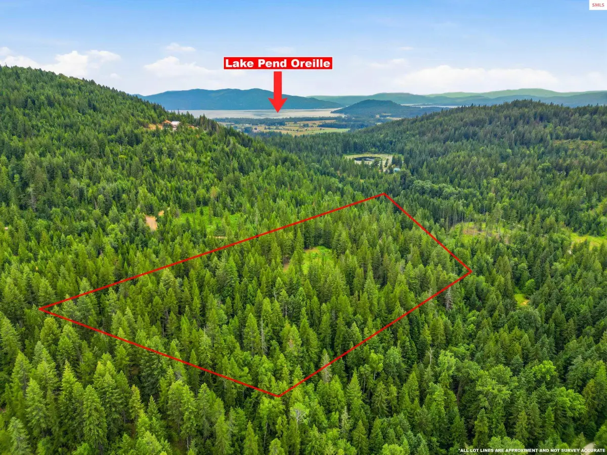217 Whodathunkit Rd, Sandpoint, ID 83864 - #1