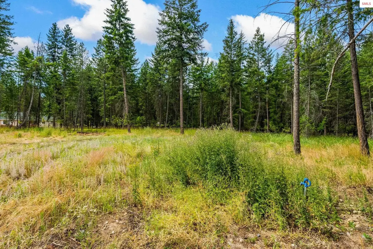 260 Hardy Loop, Bonners Ferry, ID 83805 - #1