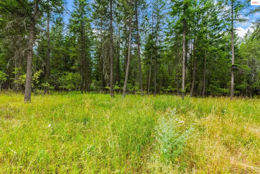 260 Hardy Loop, Bonners Ferry, ID 83805 - #2