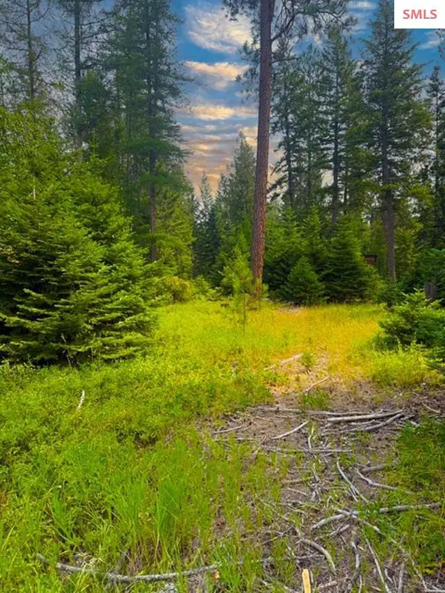 NNA Ginger Ln., Bonners Ferry, ID 83805 - #1