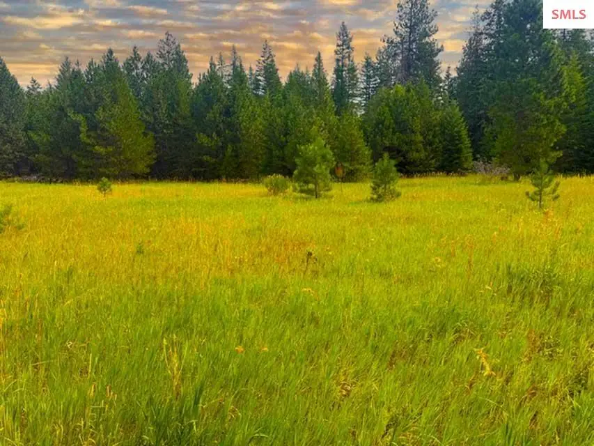 NNA Ginger Ln., Bonners Ferry, ID 83805 - #3