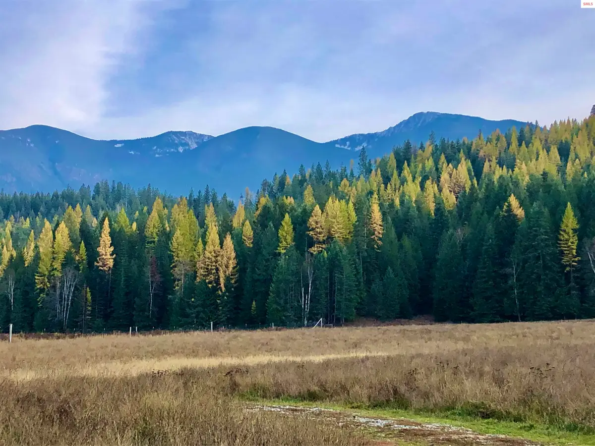 2510 Parker Canyon Road, Bonners Ferry, ID 83805 - #1