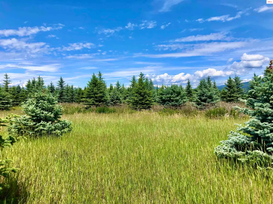 Tract 2 Juneberry Lane, Bonners Ferry, ID 83805 - #2