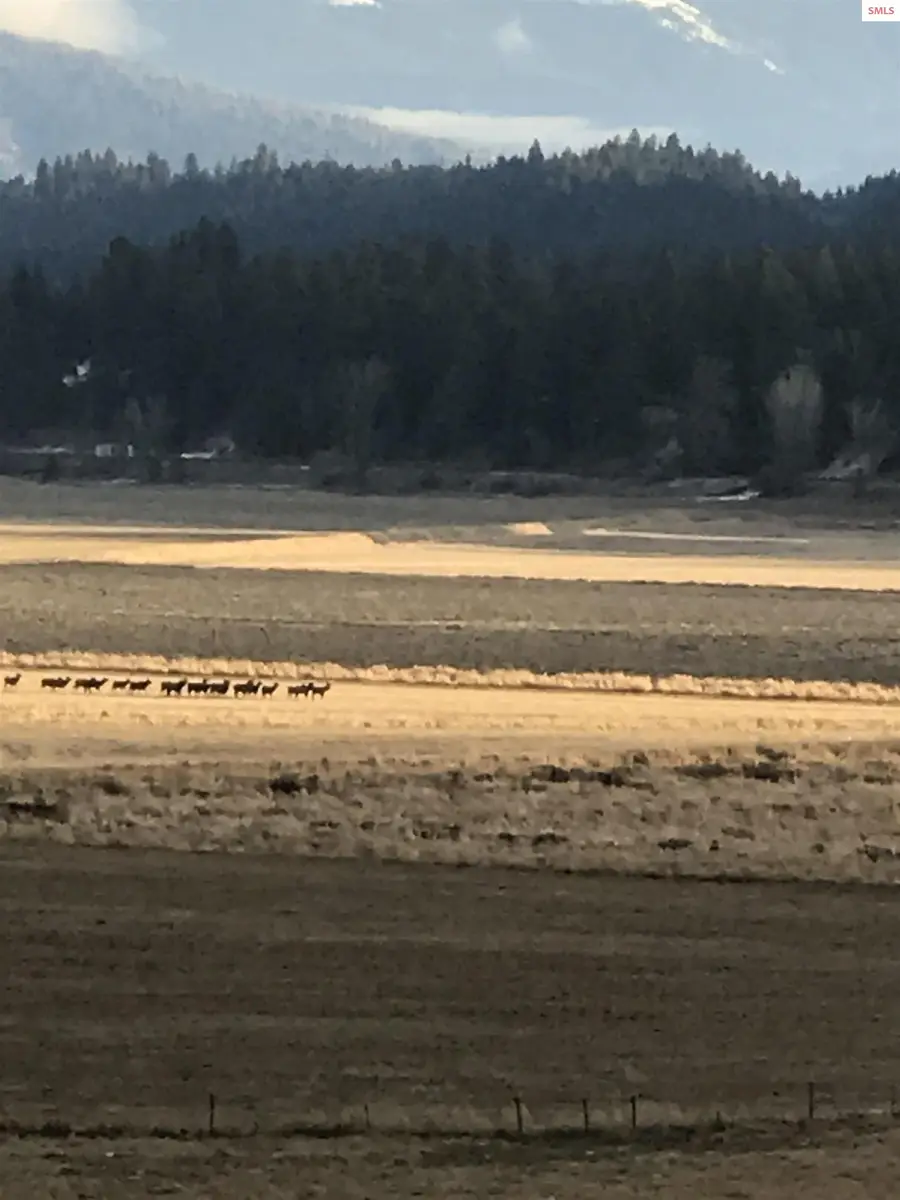 7724 Deep Creek Loop, Bonners Ferry, ID 83805 - #2