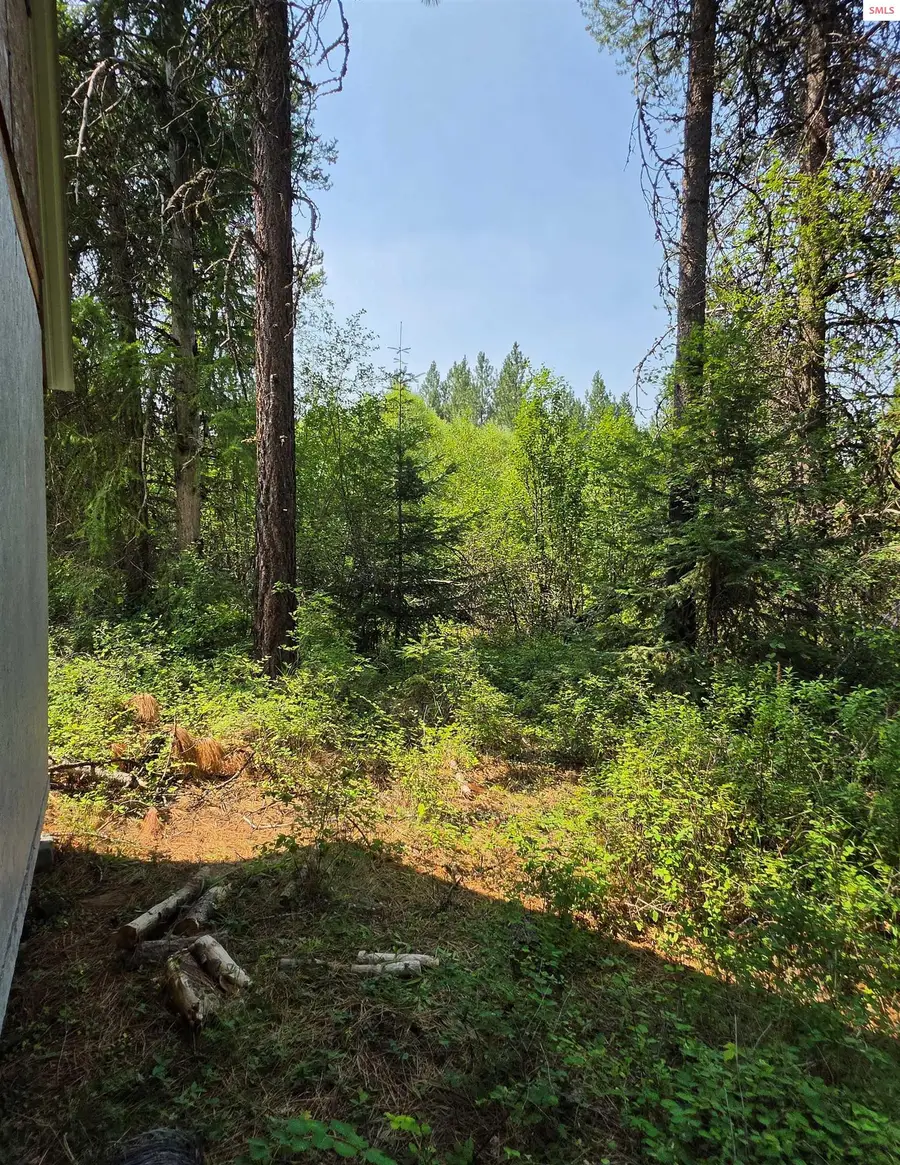 NNA Hwy 20 & Mccloud Creek, Newport, WA 99156 - #2