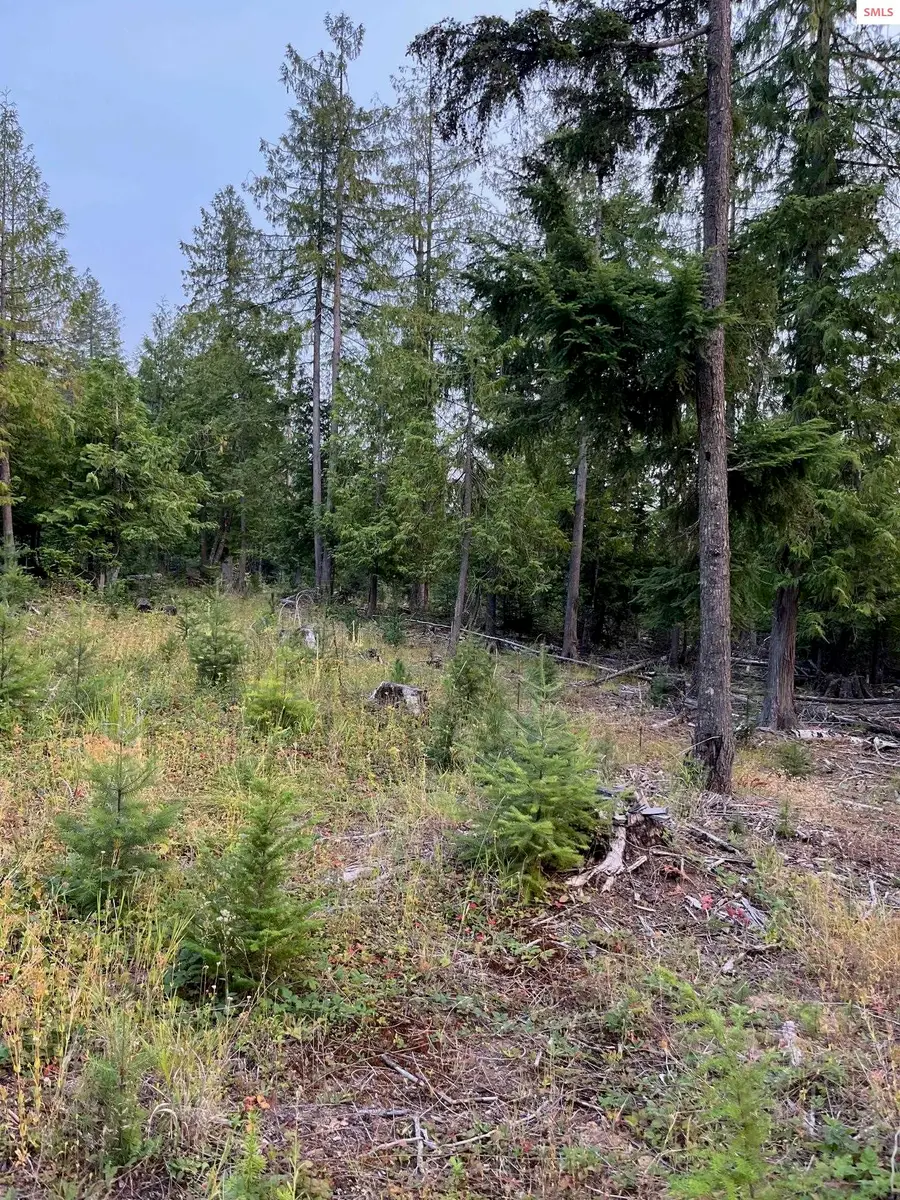 NNA Grouse Mountain Rd, Sagle, ID 83860 - #3