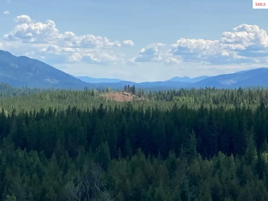 1516 Round Mtn Road, Naples, ID 83847 - #3