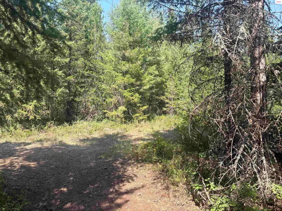 L4B131 W Vermont St, Spirit Lake, ID 83869 - #2