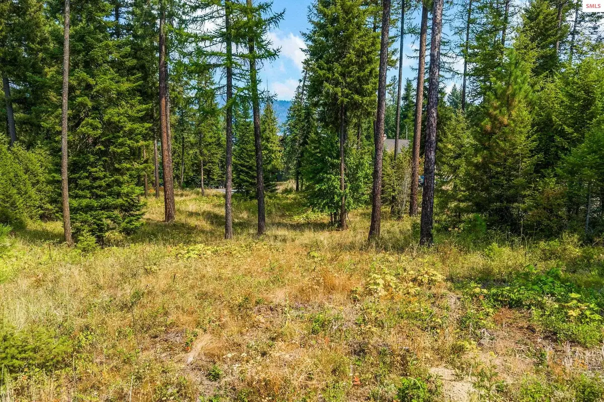 Lot 12 Deeter Dr., Priest River, ID 83856 - #1