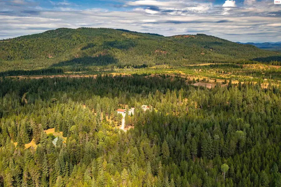 11364 Eastside Rd., Priest River, ID 83856 - #3