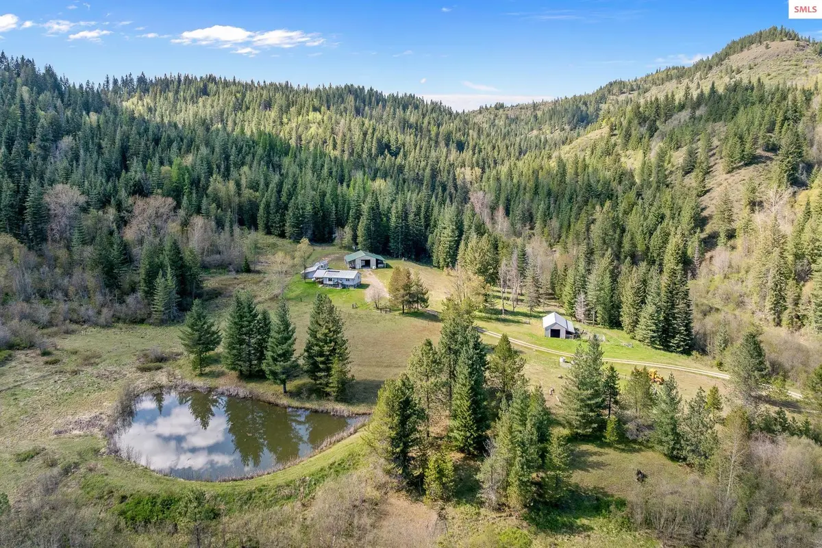1791 Pup Paw Trail, Priest River, ID 83856 - #1