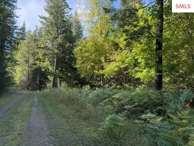 NNA (4650a) Gold Cup Mtn Rd., Priest River, ID 83856 - #2