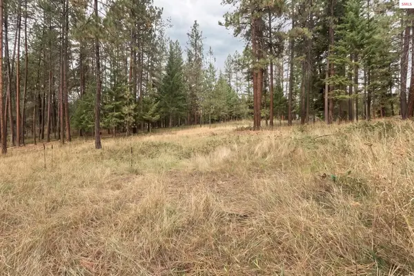 Lot 19 Canterbury Court, Moyie Springs, ID 83845