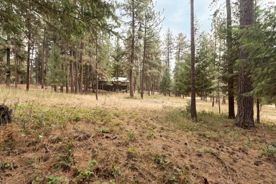 Lot 19 Canterbury Court, Moyie Springs, ID 83845 - #3