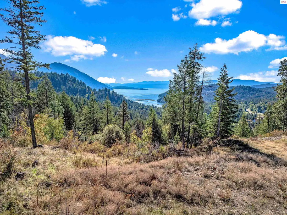 B10 Lot 2 S White Cloud Drive, Sandpoint, ID 83864 - #1