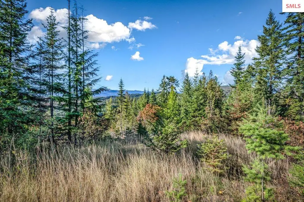 NNA C15 White Cloud Drive, Sandpoint, ID 83864 - #1