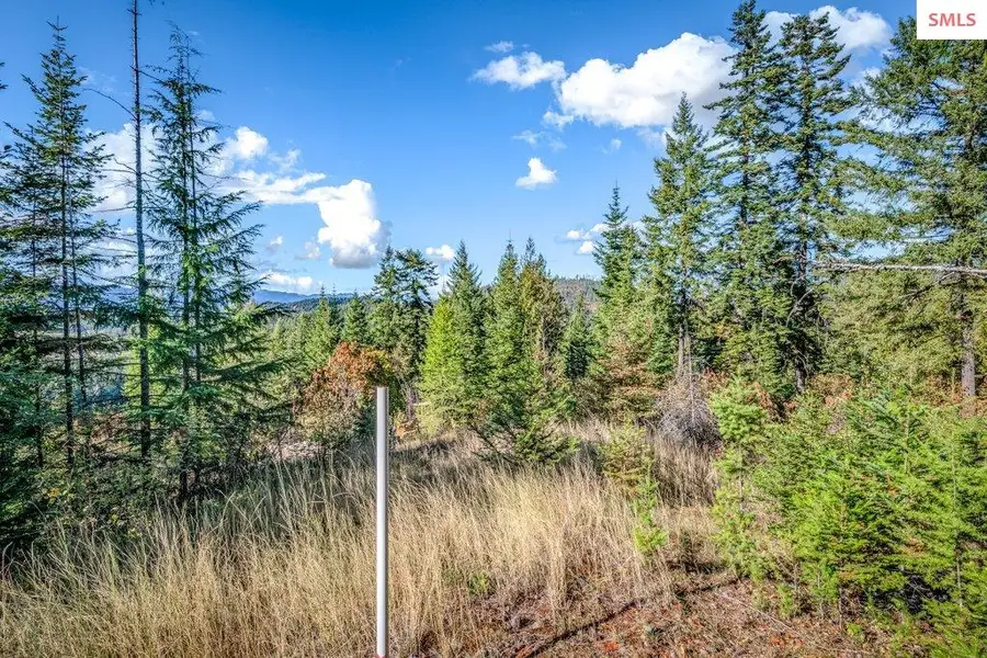 NNA C15 White Cloud Drive, Sandpoint, ID 83864 - #3