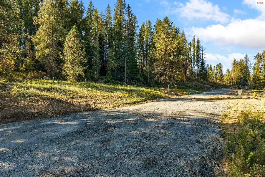 NKA Baja Ln, Oldtown, ID 83822 - #2