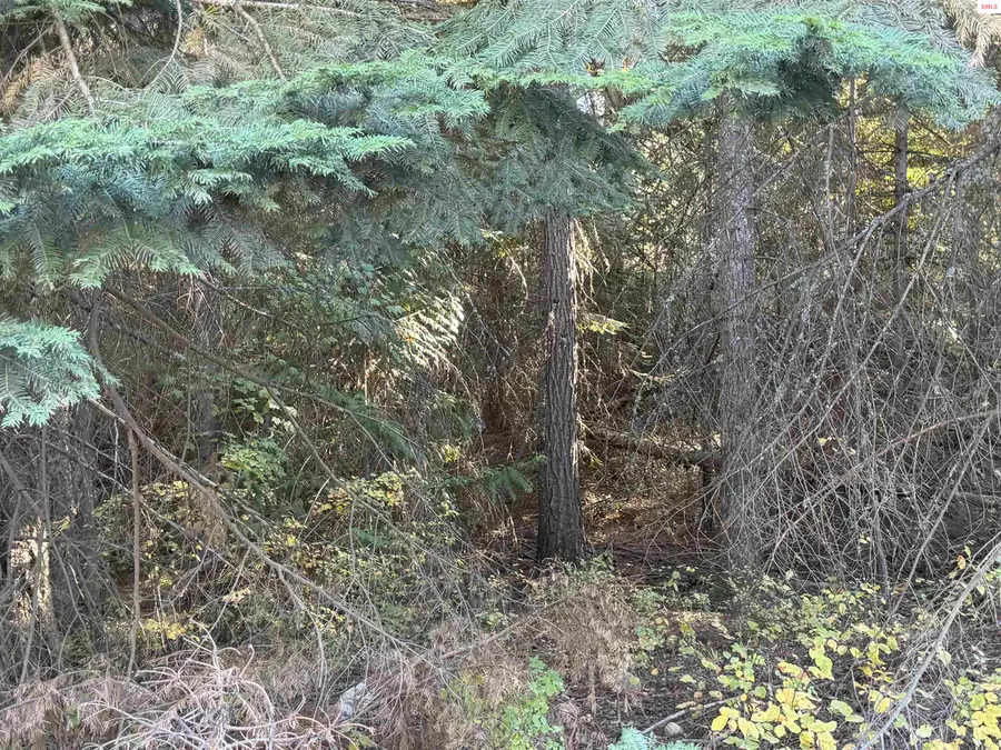 NNA Gray Eagle, Rathdrum, ID 83858 - #3
