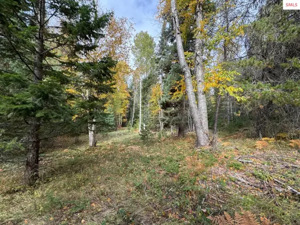 NNA Rascals Rd, Sandpoint, ID 83864