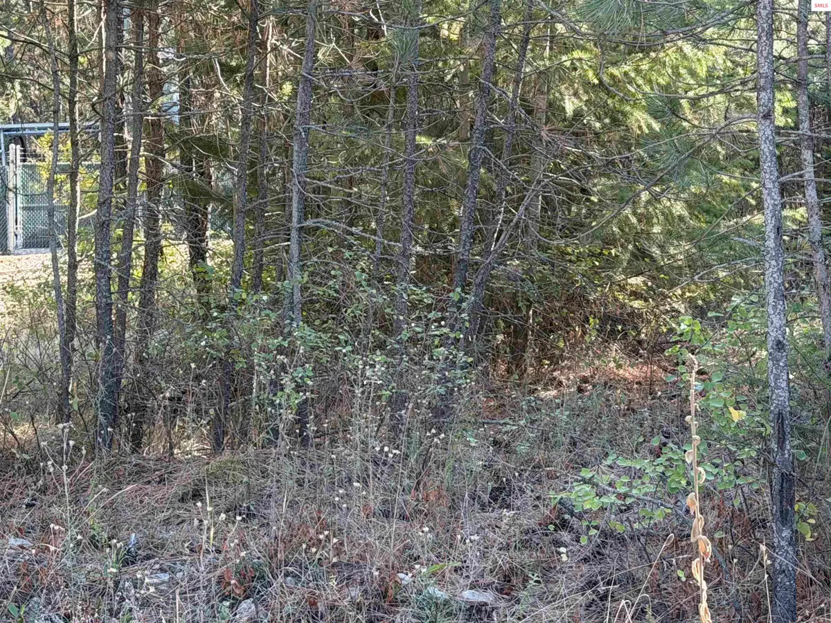 NNA Gray Eagle Rd., Rathdrum, ID 83858 - #1
