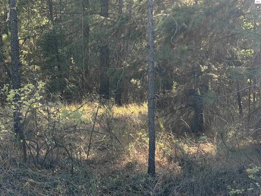 NNA Gray Eagle Rd., Rathdrum, ID 83858 - #3