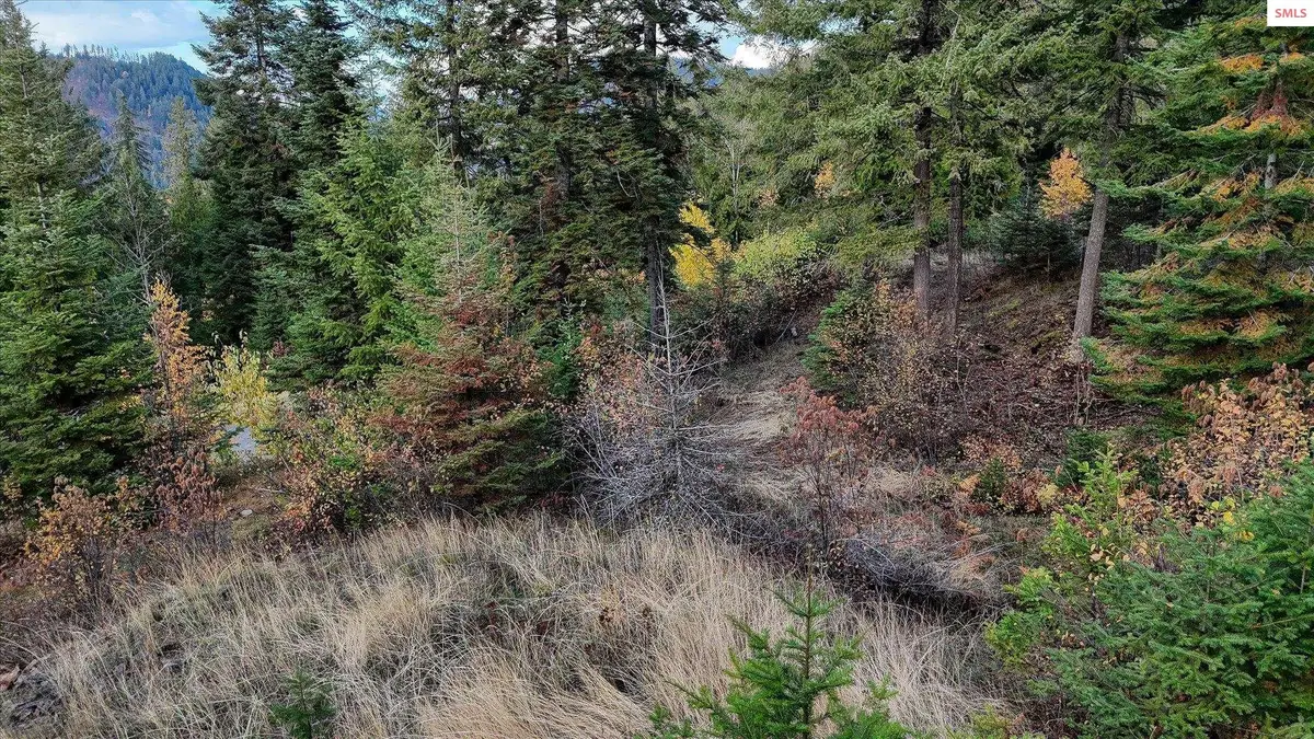 Lot C14 White Cloud, Sandpoint, ID 83864 - #1