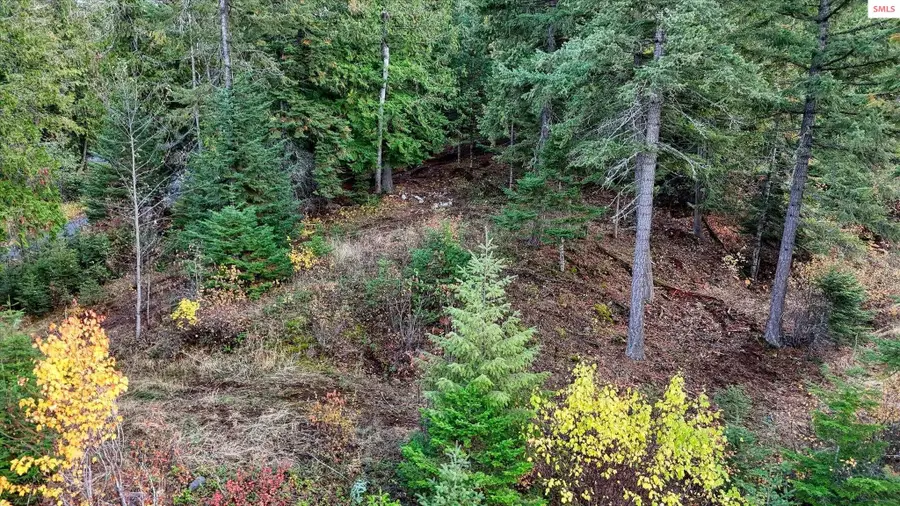 Lot C14 White Cloud, Sandpoint, ID 83864 - #2