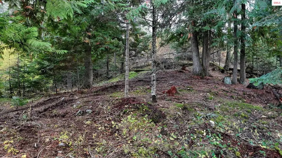 Lot C14 White Cloud, Sandpoint, ID 83864 - #3