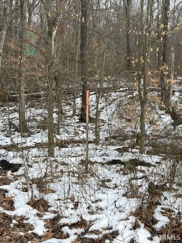 Rea Cemetery Road Road, Freedom, IN 47431 - Image #1