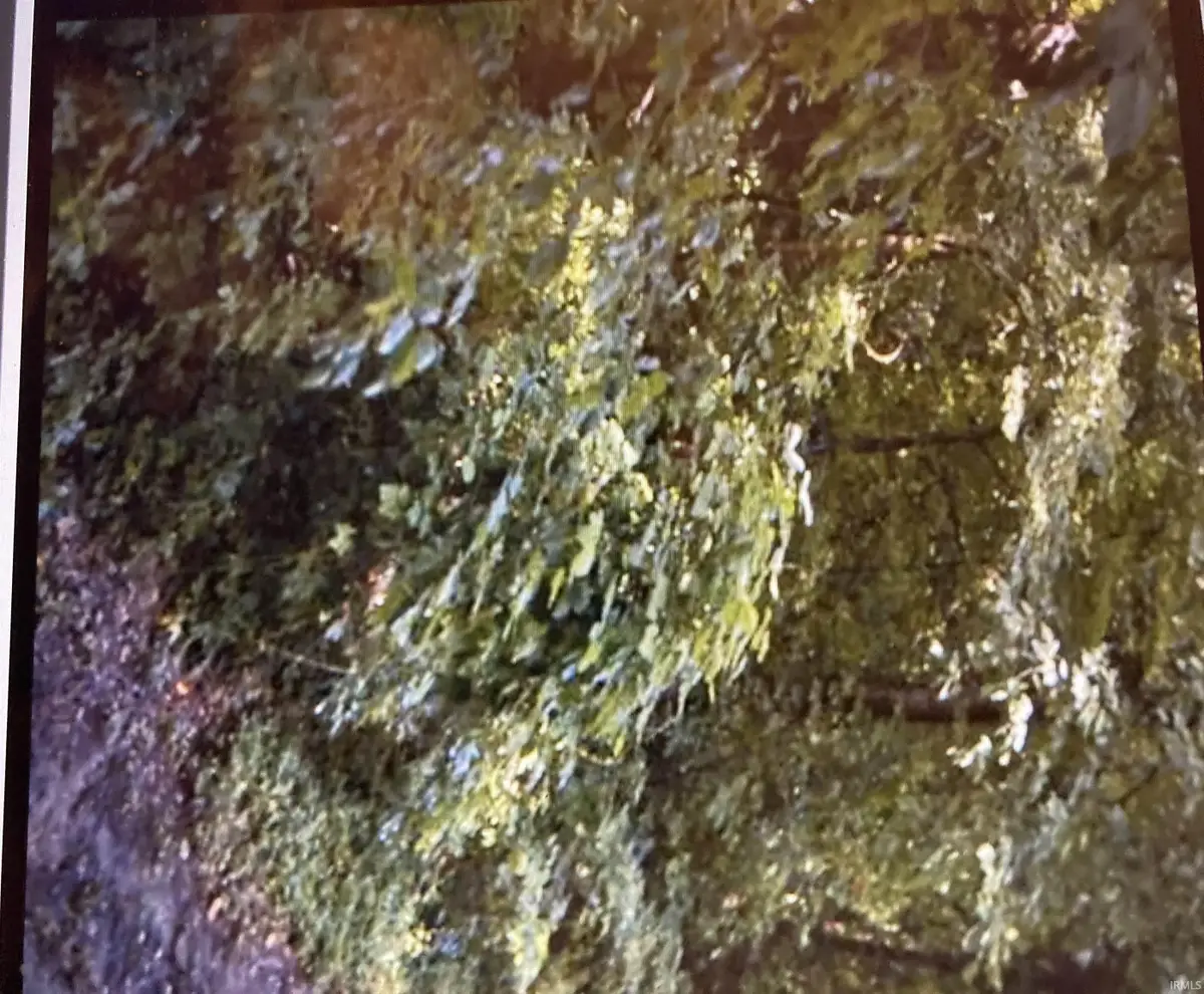 2923 Skyline Drive, Evansville, IN 47712 - Image #1